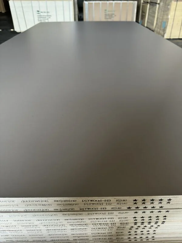 WL008T/ Xám nhạt